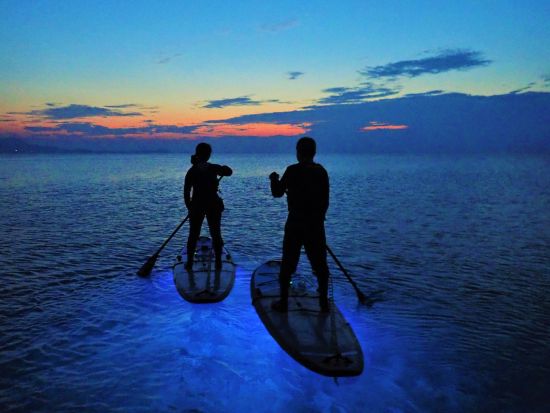 イルミネーションナイトSUP　LEDで光り輝くボードでサンセット＆夜の海をクルージング＜1グループ貸切／石垣島＞by にじいろのさかな