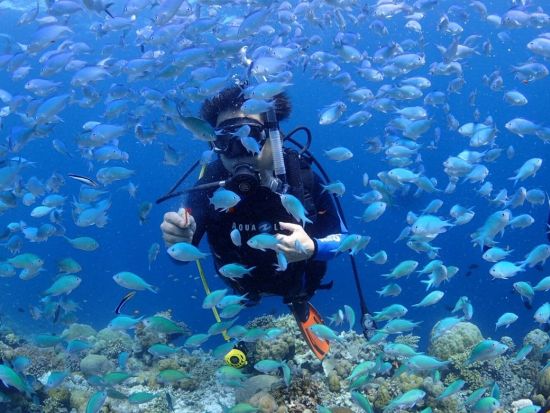 ジンベイザメファンダイビングツアー　ギンガメアジも狙う！オスロブ+スミロン島+ツマログの滝＜ボート／2ダイブ／昼食／日本語ガイド／送迎＞