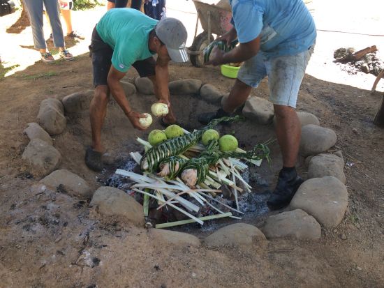 フィジーカルチャービレッジ訪問＆夕食ビュッフェ　カバの儀式やメケショー＆ファイヤーダンス鑑賞＜英語＞
