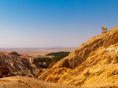 shutterstock_1207774879