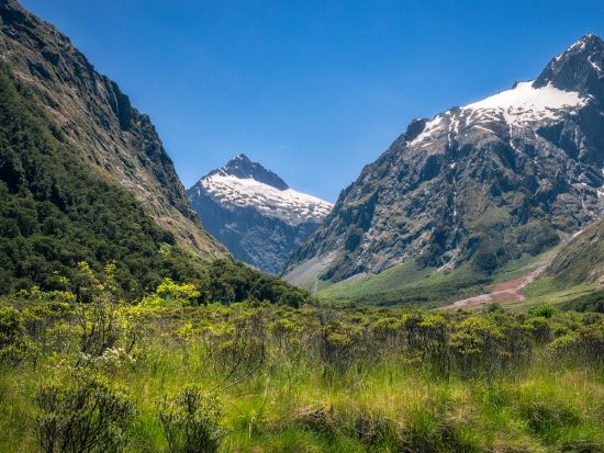 世界遺産フィヨルドランド国立公園 ミルフォード・サウンド クルーズ＆国立公園散策ツアー＜1日／英語ガイド／テ・アナウ発着＞