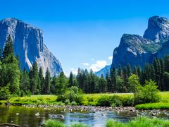 USA_Calif_YNP_ElCapitan_shutterstock_142024447 (1)