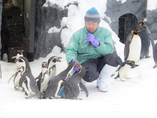 日帰りバスツアー かわいい動物たちを間近で観察できる旭山動物園＆白い雪のコントラストが美しい美瑛の青い池を巡るコース＜12月・1月出発／札幌市内発着＞