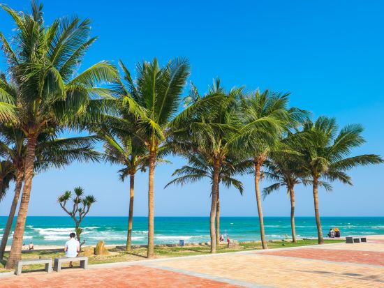 貸切チャーター　ダナンまたはホイアン（1～36名） ＜4～8時間／日本語ガイド／ダナン発＞ 