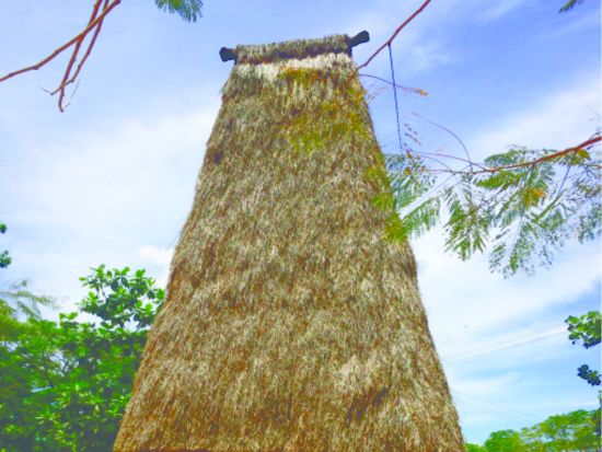 フィジーカルチャービレッジ訪問　カバの儀式やメケショー鑑賞　フィジー文化に触れる半日観光＜昼食付／英語＞