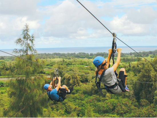 クライムワークス・ケアナファーム　ジップライン体験（3時間）　オアフ島最長800メートルのラインでノースショアの大自然と絶景を満喫！送迎付きプランあり＜7本＞