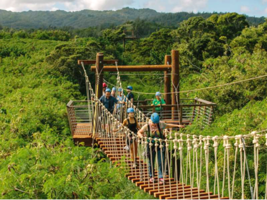 クライムワークス・ケアナファーム　ジップライン体験（3時間）　オアフ島最長800メートルのラインでノースショアの大自然と絶景を満喫！送迎付きプランあり＜7本＞