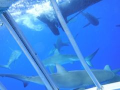 20170507001437_480671008_0