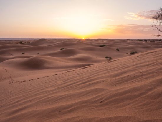 shutterstock_1073690375