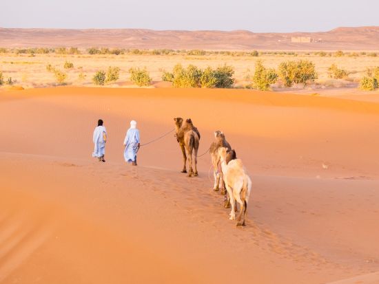 1泊2日 モロッコ周遊ツアー 世界遺産アイト・ベン・ハッドゥほか5か所観光＜マラケシュ発着／日本語or英語＞