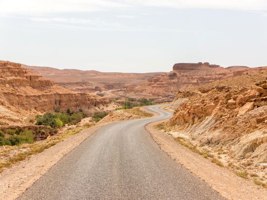 shutterstock_1085856674