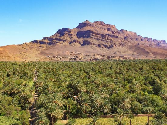 1泊2日 モロッコ周遊ツアー 世界遺産アイト・ベン・ハッドゥほか5か所観光＜マラケシュ発着／日本語or英語＞