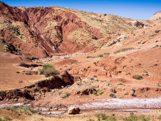 shutterstock_197357795