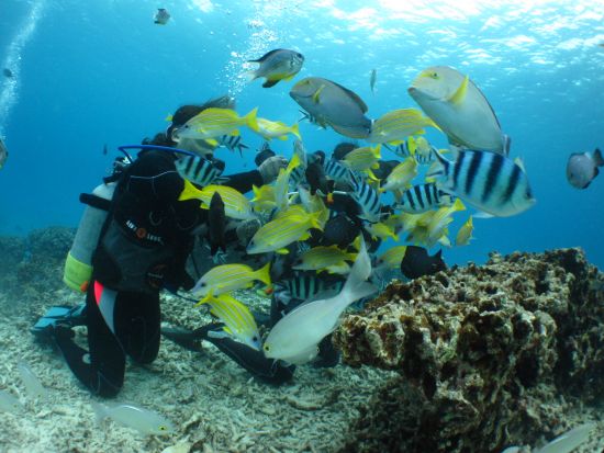 【沖縄/恩納村】青の洞窟 体験ダイビング プロ並みのこだわり写真＆動画プレゼント！＜ガイド貸切／恩納村発＞