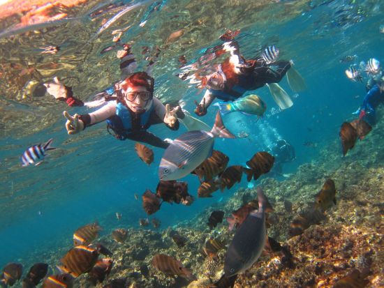 【沖縄/恩納村】青の洞窟体験シュノーケリング  写真&動画プレゼント◎専属ガイドの案内で泳ぎが苦手な方も初心者も安心◎＜餌あげ無料／恩納村発＞