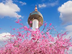 N Seoul Tower Observatory