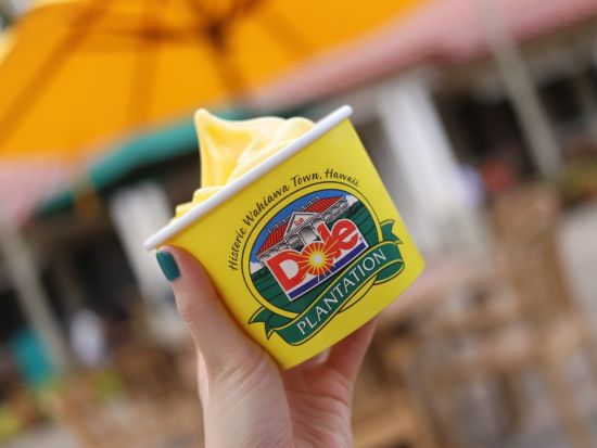 オアフ島1日観光　ノースショア観光＆ショッピング　ハレイワ＋ドールプランテーション等　ランチはロミーズのガーリックシュリンプ！マラサダ付き＜月・金曜限定＞