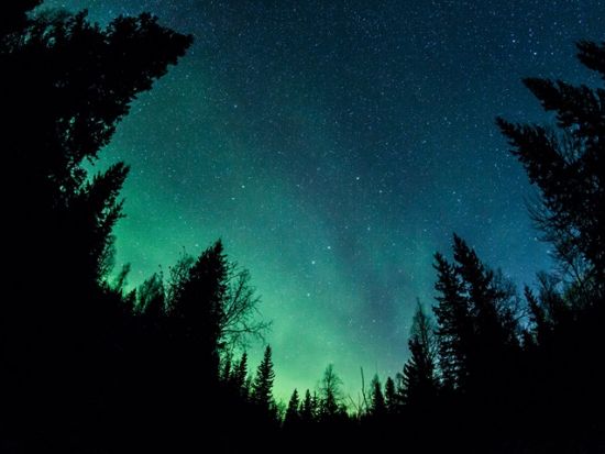 湖畔のオールドコテージ訪問＋オーロラ鑑賞ツアー＜8月～4月／BBQ軽食付／英語／送迎あり／ロヴァニエミ発＞