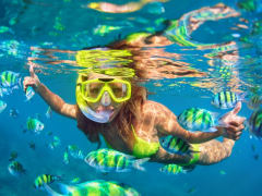 USA_Hawaii_Oahu_Snorkel_shutterstock_598410023