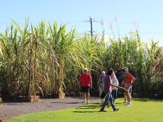 オアフ島1日観光ツアー　ハレイワタウン自由散策＆ハワイ産ラム酒蒸留所「コハナ・ラム」見学 ＜ラム酒試飲付き／日本語ガイド付き＞