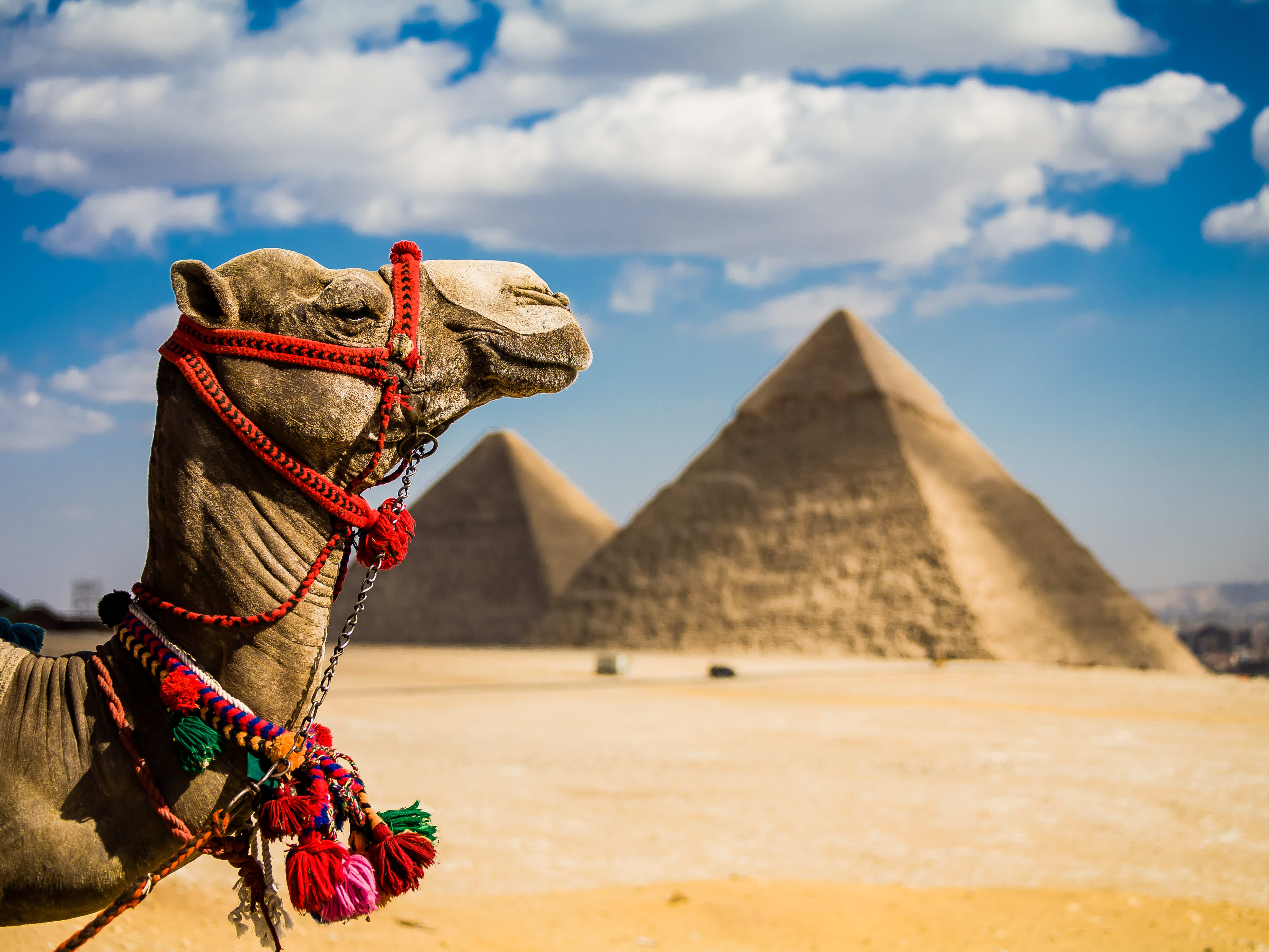 カイロ観光の決定版！世界遺産ギザの3大ピラミッド＆エジプト考古学