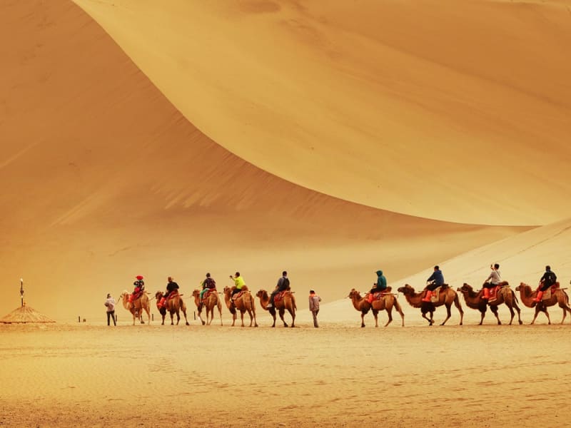 China_Dunhuang_Desert_Camel_shutterstock_525162898