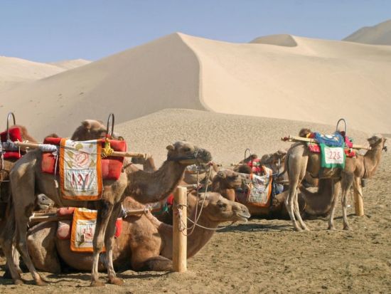 敦煌 1泊2日ツアー　莫高窟＆鳴沙山＆月牙泉 ＜貸切／往復航空券込／日本語ガイド／食事付き／西安発＞