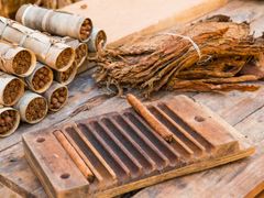 Cuba_Vinales_Valley_Tobacco_shutterstock_532830346