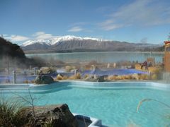 Tekapo Spring - 4