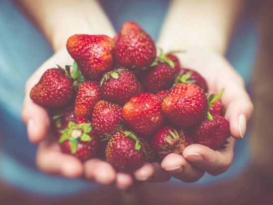 holding freshly-picked strawberries