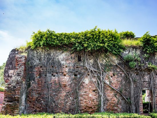 Taiwan_Tainan_Anping Treehouse_672482314 (1)