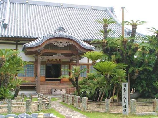 別府市内発着貸切観光タクシー　4～5時間プラン 日本一の大ソテツ！日出松屋寺＆個性的なサンドイッチ型杵築城城下町めぐり＜最大9名乗車可＞by トラベルネット