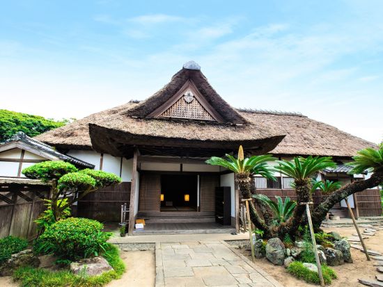 別府市内発着貸切観光タクシー　4～5時間プラン 日本一の大ソテツ！日出松屋寺＆個性的なサンドイッチ型杵築城城下町めぐり＜最大9名乗車可＞by トラベルネット