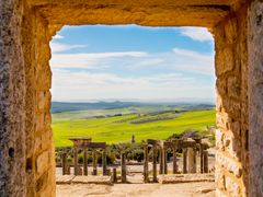 shutterstock_576075175