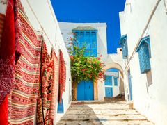 shutterstock_1134749930