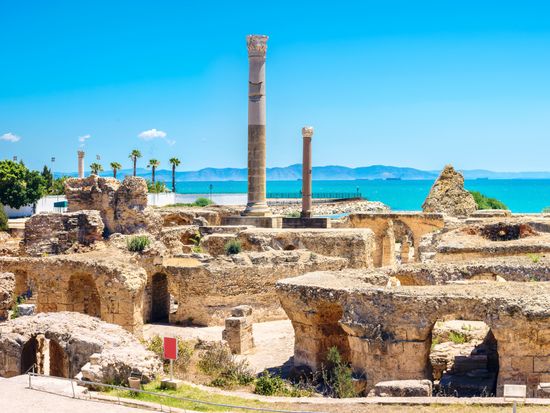 Africa_Tunisia_Tunis_shutterstock_701550793