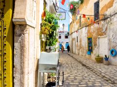 shutterstock_1199045086