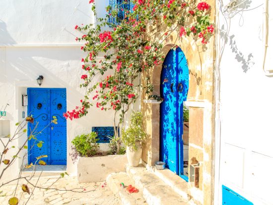 チュニス近郊　世界遺産ハイライト2泊3日ツアー ＜貸切／食事付き／日本語または英語ガイド／チュニス発シディ・ブ・サイド着＞