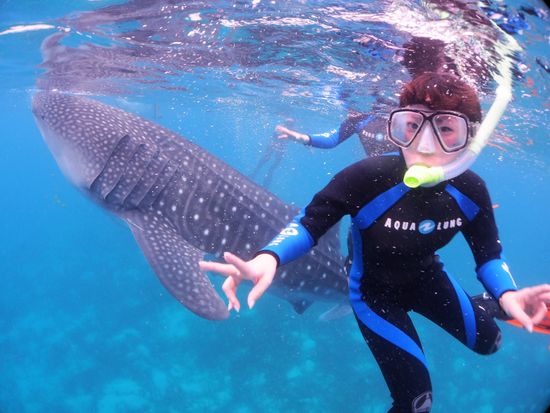 P2021189_original-crop