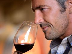 Wine Tasting, Wine Tasting Tour