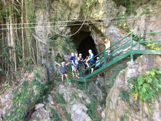 ジップライン＆アブセイル体験　空と地中からフィジーの自然を楽しむ半日ツアー＜昼食付／英語／送迎付き＞