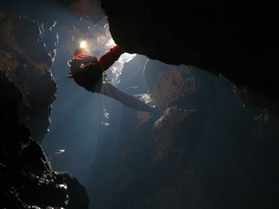 ジップライン＆アブセイル体験　空と地中からフィジーの自然を楽しむ半日ツアー＜昼食付／英語／送迎付き＞