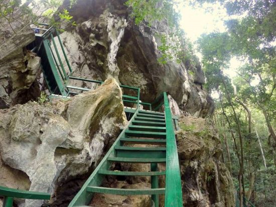 ジップライン＆アブセイル体験　空と地中からフィジーの自然を楽しむ半日ツアー＜昼食付／英語／送迎付き＞