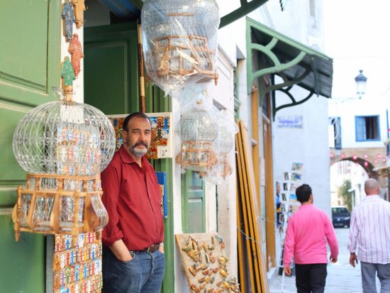 全8つの世界遺産を巡る　チュニジア北中部 4泊5日周遊ツアー ＜貸切／食事付き／日本語または英語ガイド／チュニス発＞