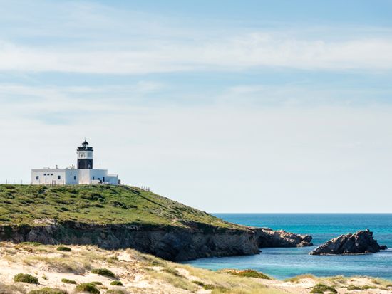 shutterstock_1217192389