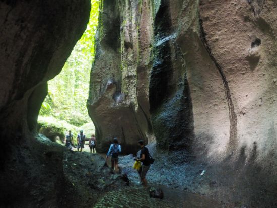 【貸切】バリ島パワースポット巡り　人気の滝スポット2選＋パンリプラン伝統村＋キンタマーニ高原ツアー＜1日／日本語ガイド／昼食付＞
