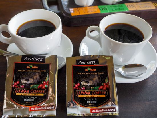 21.coffee_plantation_P6282803