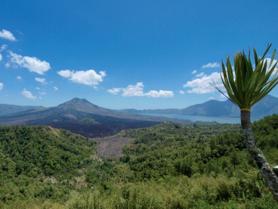 【貸切】バリ島パワースポット巡り　人気の滝スポット2選＋パンリプラン伝統村＋キンタマーニ高原ツアー＜1日／日本語ガイド／昼食付＞