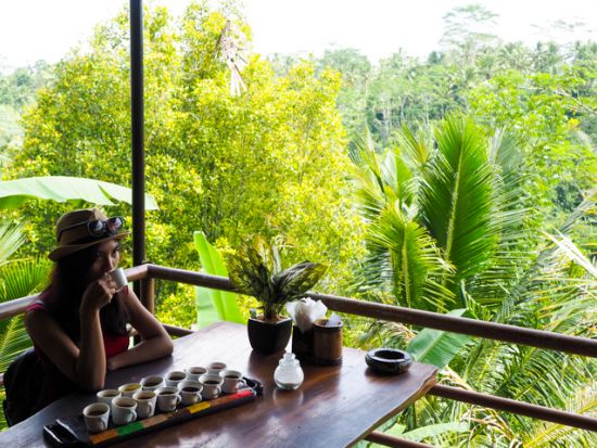 【貸切】バリ島パワースポット巡り　人気の滝スポット2選＋パンリプラン伝統村＋キンタマーニ高原ツアー＜1日／日本語ガイド／昼食付＞