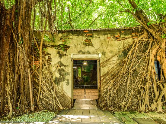 shutterstock_1260626788